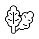 Free Spinat  Symbol