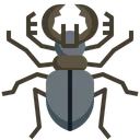 Free Stag Beetle Beetle Animal Kingdom Icon