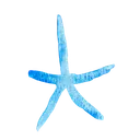 Free Star Fish Fish Sea Icon