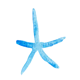 Free Star Fish  Icon