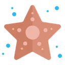 Free Star Fish Starfish Icon
