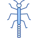Free Stick Insect Camouflage Animal Kingdom Icon