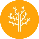 Free Stock  Symbol