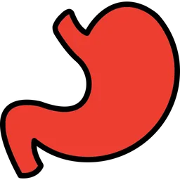 Free Stomach  Icon