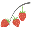 Free Strawberry Plant Bunch Of Strawberries Fruit Icon