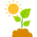 Free Sun plant  Icon