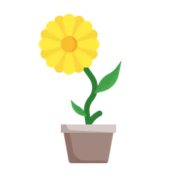 Free Sunflower  Icon