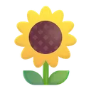 Free Color Icon