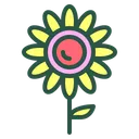 Free Sunflower Flower Floral Icon
