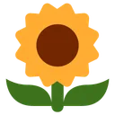 Free Sunflower Flower Plant Icon