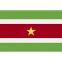 Free Surinam Mapa America Icon