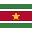 Free Surinam Bandera Pais Icon