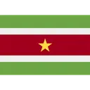 Free Suriname Map America Icon