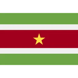 Free Suriname Flag Icon