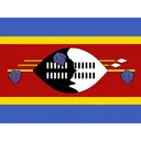 Free Swaziland Flag Country Icon