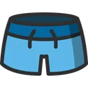 Free Swimtrunks Swimsuit Swim Icon