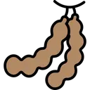 Free Tamarindo Ícone