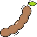 Free Tamarindo Ícone