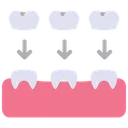 Free Teeth crown  Icon