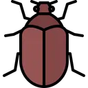 Free Beetle Bug Insect Icon