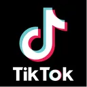 Free Tiktok Square Social Media Logo Icône