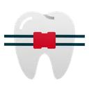 Free Brackets Diente Dental Icono