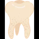 Free Tooth Organ Human Organs Icon