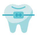 Free Dental Care Dentist Tooth Icon