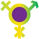 Free Transgender  Icon