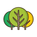 Free Trees Deciduous Icon