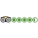 Free Tripadvisor Brand Company Icon