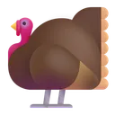 Free Color Icon