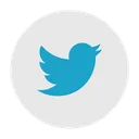 Free Twitter Redes Sociales Logotipo Icono