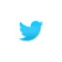 Free Twitter Big Sur Icon