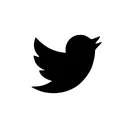 Free Twitter Media Social Icon