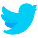 Free Twitter Social Media Media Icon