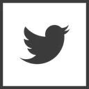 Free Twitter Twitter Icon Social Media Icon