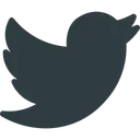 Free Twitter  Icône