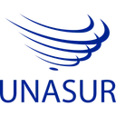 Free Unasur Company Brand Icon