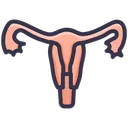 Free Utero Humana Cuerpo Icon