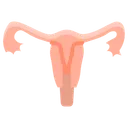 Free Utero Humana Cuerpo Icon