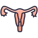 Free Uterus Human Body Icon