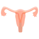 Free Uterus Human Body Icon