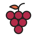 Free Uva Fruta Otono Icon