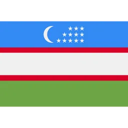 Free Uzbekistan Flag Icon