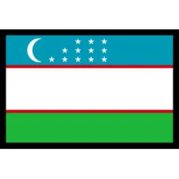Free Uzbekistan Flag Flag Icon