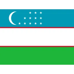 Free Uzbekistan Flag Icon