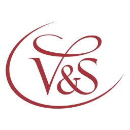 Free V Logo Icon