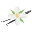 Free Vanila Vanilla Flower Organic Flower Icon