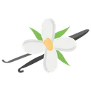 Free Vanille Vanilleblute Bio Blume Icon